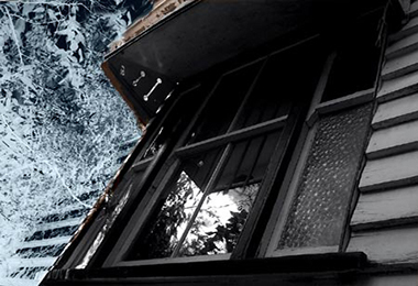 A photo of an old window surrounded by overgrowth at the front of a house in Brisbane Queensland. A photo of an old window surrounded by overgrowth at the front of a house in Brisbane Queensland.