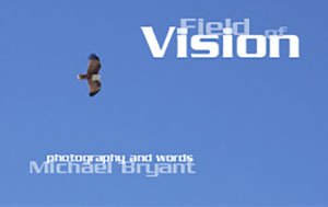 A book of images and poetry A book of images and poetry